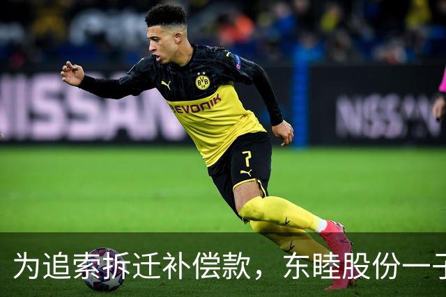 为追索拆迁补偿款，东睦股份一子公司起诉地方政府，自述被拖欠3120万元
