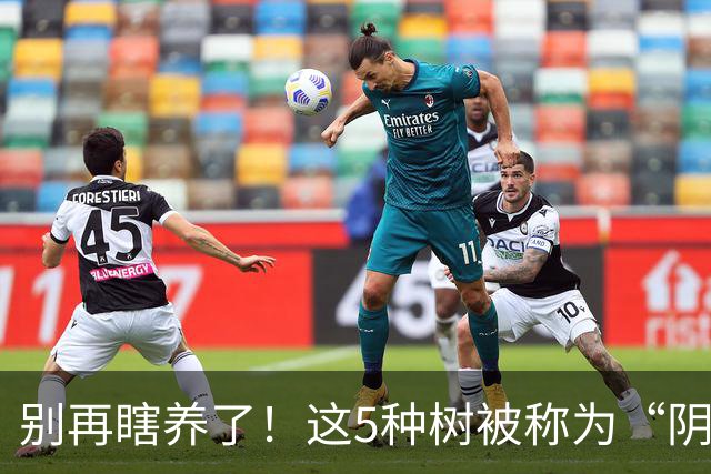 别再瞎养了！这5种树被称为“阴树”，再喜欢也别搬进家，看完赶紧搬出去