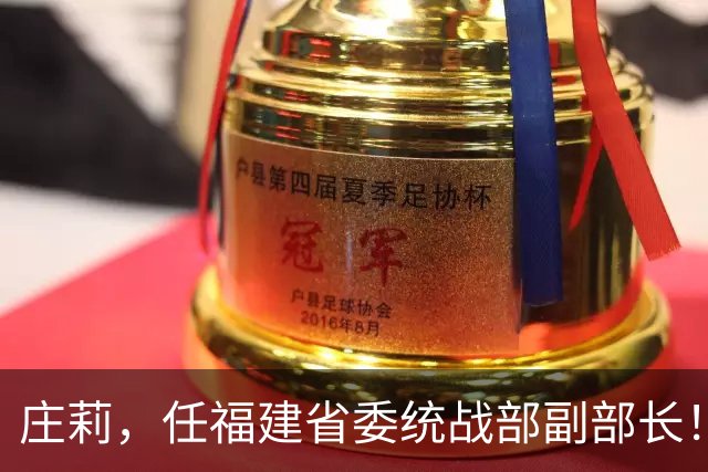 庄莉，任福建省委统战部副部长！柏长岭，任南京市委常委、市纪委书记！