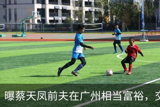 曝蔡天凤前夫在广州相当富裕，交新女友引蔡天凤嫉妒，3件事可疑