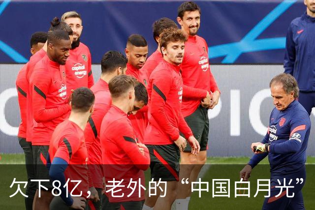欠下8亿，老外的“中国白月光”香消玉殒