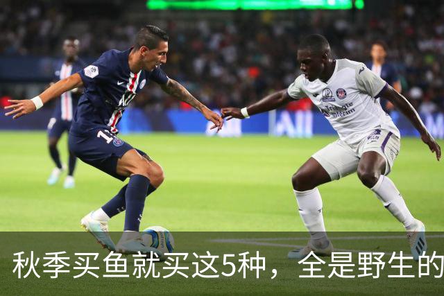 秋季买鱼就买这5种，全是野生的，人工养不了，比养殖鱼更香