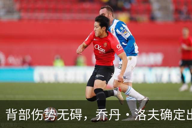 背部伤势无碍，乔丹·洛夫确定出战雄狮