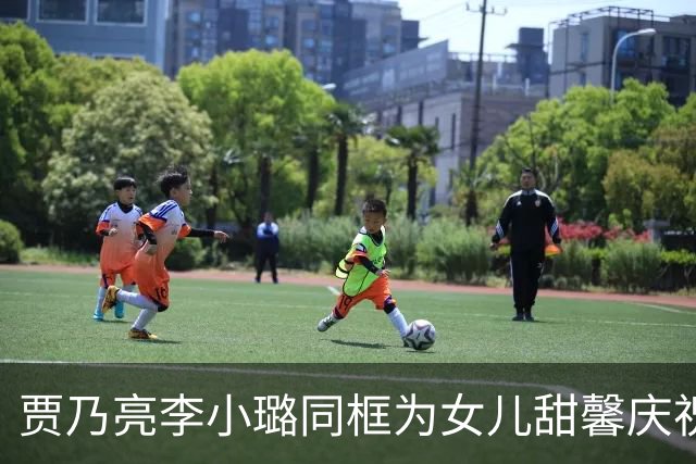 贾乃亮李小璐同框为女儿甜馨庆祝14岁生日，母女俩宛如姐妹花