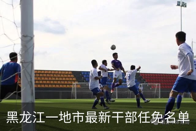 黑龙江一地市最新干部任免名单