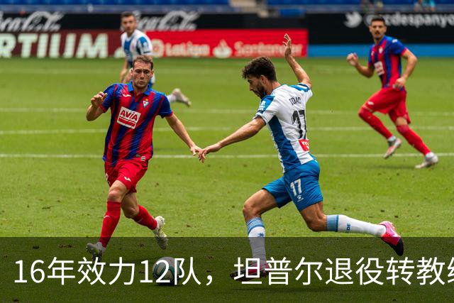 16年效力12队，坦普尔退役转教练：每天都在学新东西